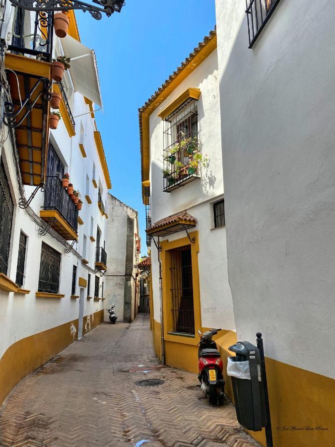 Apartamento San Clemente Севиля Екстериор снимка