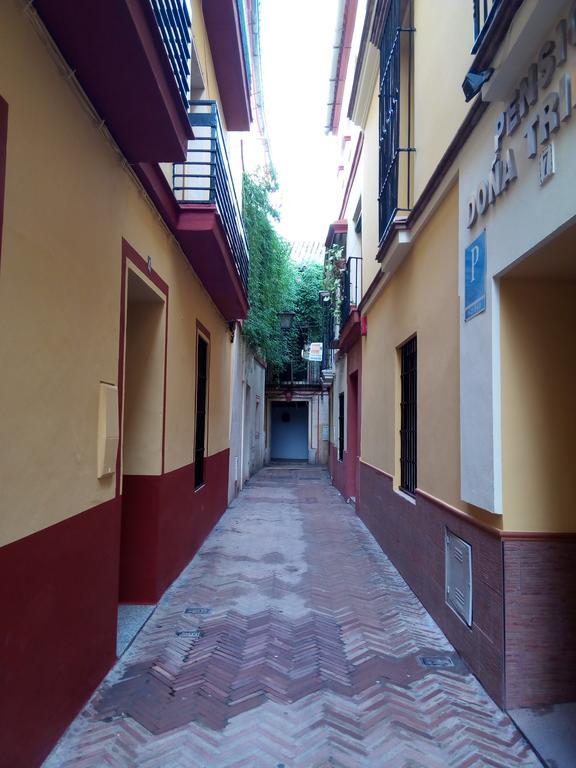Apartamento San Clemente Севиля Екстериор снимка